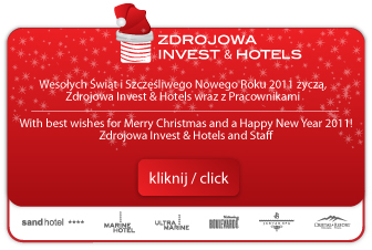 Zdrojowa_Group_-_e-mail_-_E-kartka_Swiateczna_i_Noworoczna_2011_-T_E-Seasons_Greetings_Card_2011_-_mala-small