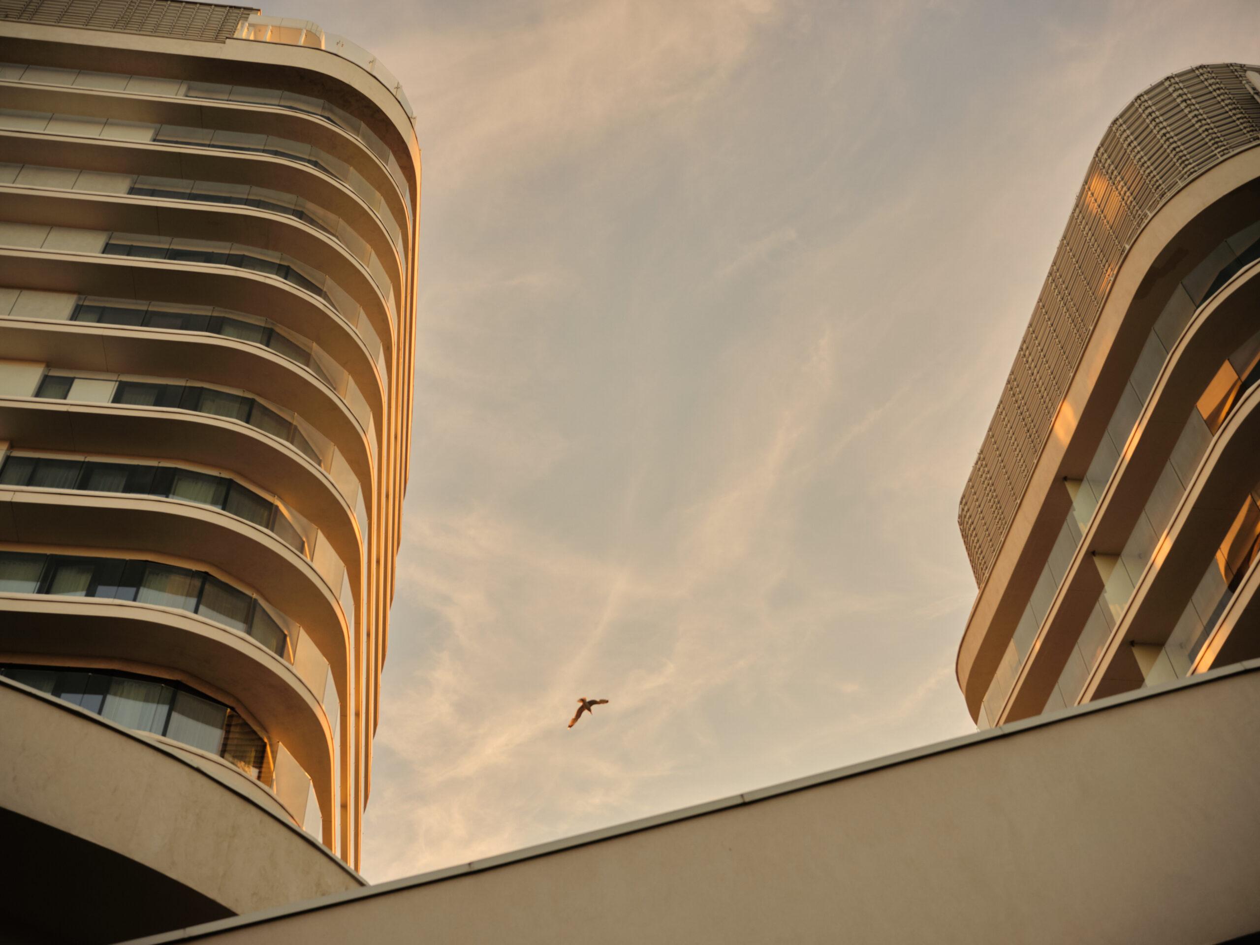 Baltic Park Molo - widok na Radisson Blu Świnoujście oraz Hilton Świnoujście